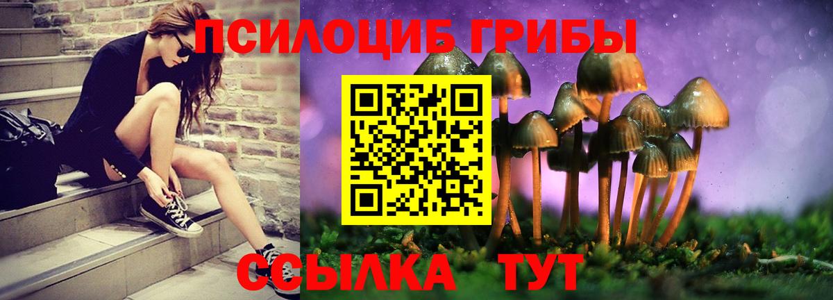 Луга  Псилоцибиновые грибы MAGIC MUSHROOMS  Галлюциногенные грибы Psilocybe  Вход с VPN 