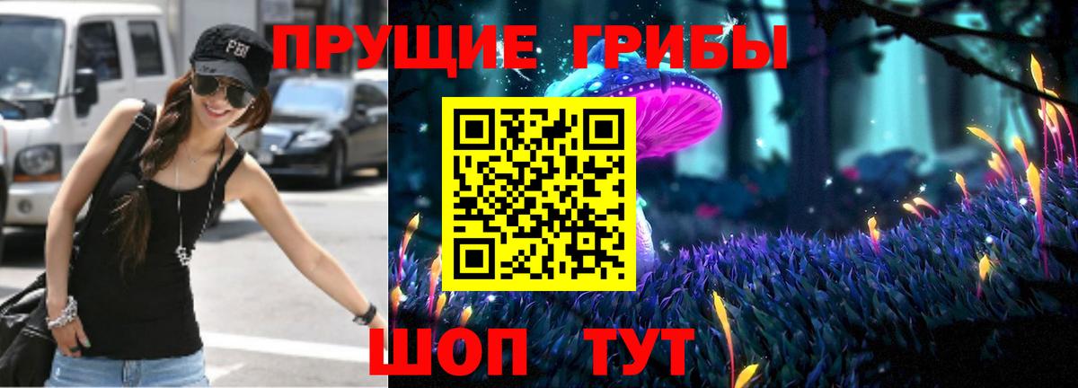 Галлюциногенные грибы Psilocybine cubensis Луга