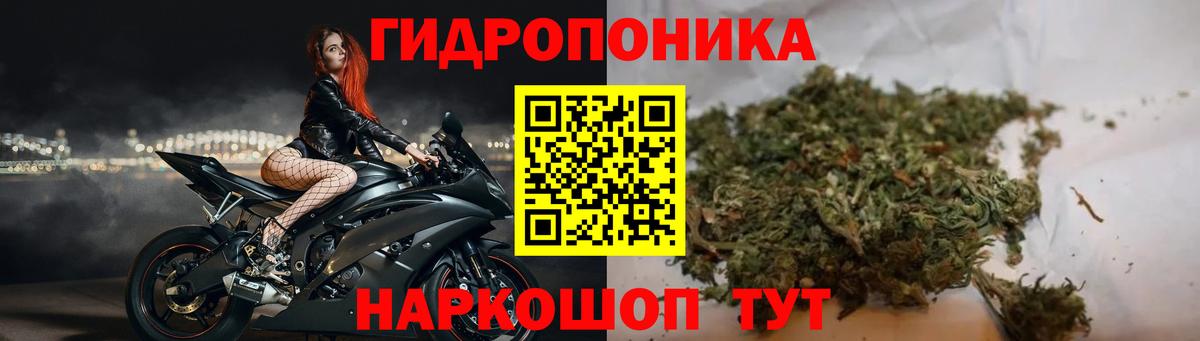 Конопля White Widow Луга